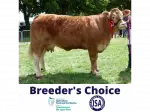 breederschoice2024